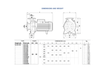 Pedrollo F50/160A Cast Iron Centrifugal Pump for Commercial HVAC Circulation with Brass Impeller