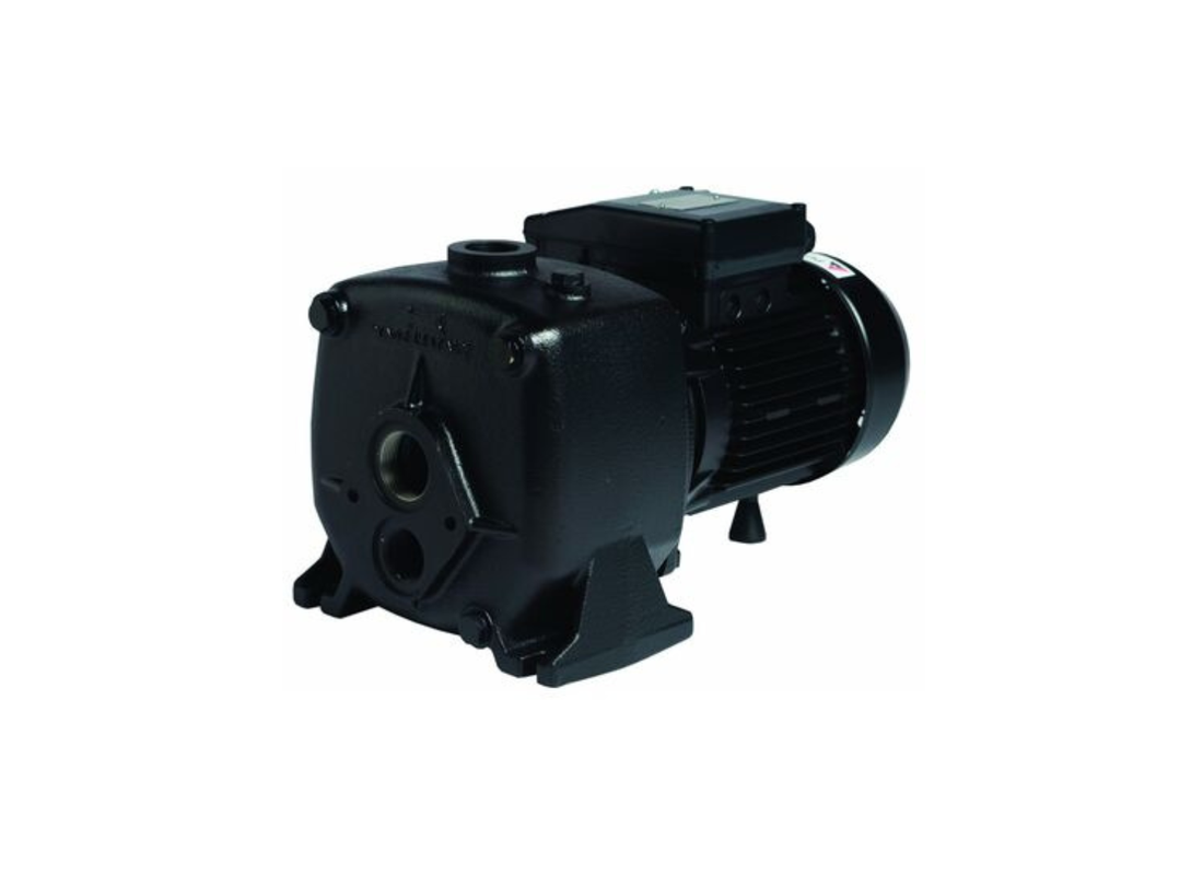 Pumpmaster CTA300 cast iron deep well jet pressure pump with single impeller, showing its sturdy metal construction and inlet/outlet ports.