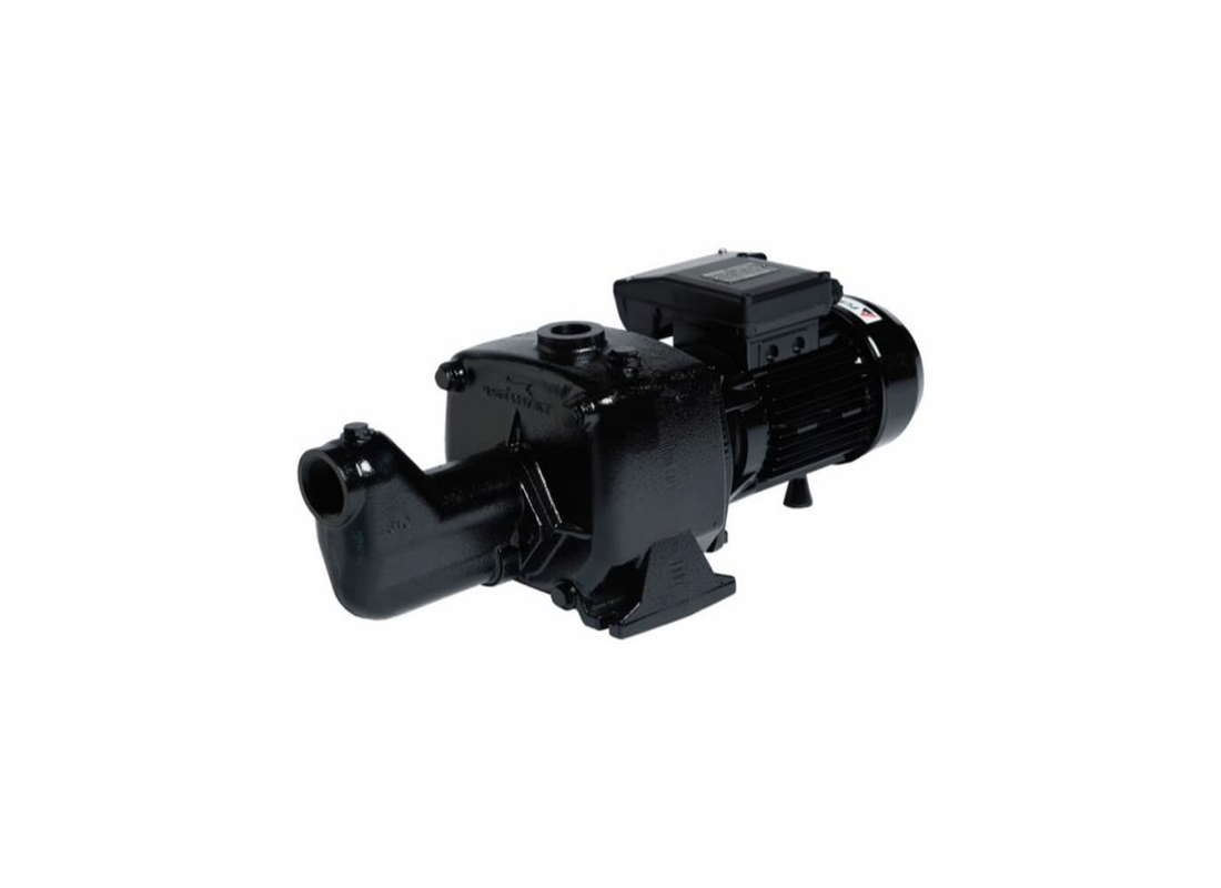 Pumpmaster CTJ300 cast iron jet pressure pump with twin impeller, self-priming design, ideal for water transfer applications.