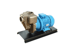 Aussie Pumps GMP G3TMK-A/B7.5KW High-Head Nial Bronze Three Phase Marine Transfer Pump with Open Impeller
