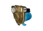 Aussie Pumps GMP GB2KQ-A/B2.23PS2 Nial Bronze 2" Ports Three Phase Marine Transfer Pump with Open Impeller