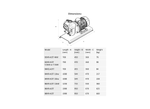 Aussie Pumps GMP GB3XR-A/ST/L100ENF Cast Iron 10HP Base Mount Semi-Trash Pump with Yanmar Diesel Engine