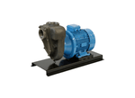 Aussie Pumps GMP GB3XR-A/X 4KW Stainless Steel Three Phase Chemical Transfer Pump with Open Impeller
