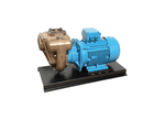 Aussie Pumps GMP GB4XR-A/B 11KW3P Nial Bronze 4" Ports Three Phase Marine Transfer Pump with Open Impeller