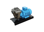 Aussie Pumps GMP GB4XR-A/X 15KW Stainless Steel Three Phase Chemical Transfer Pump with Open Impeller