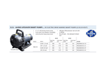 Aussie Pumps RSE2AB-DC5C-24 24V DC 2" Ports Marine Self-Priming Transfer Pump with Polyester Wet End