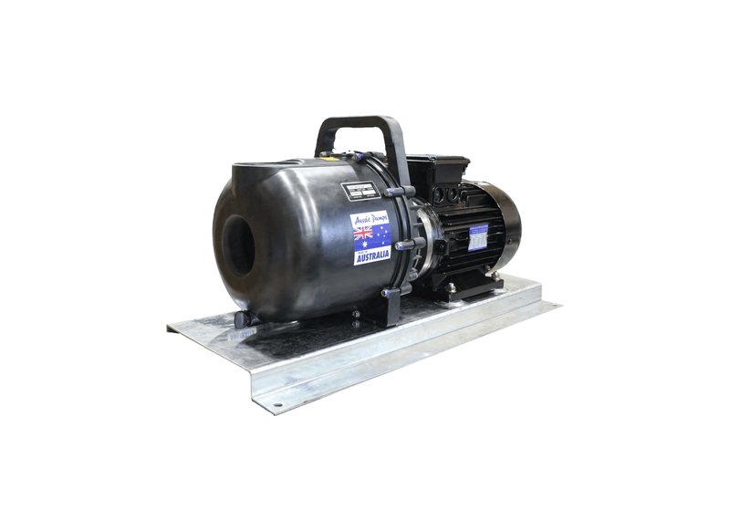 Aussie Pumps RSE2BRL/2.2/240 Polyester 2" Ports Single Phase High-Flow Chemical Transfer Pump with Protek Motor