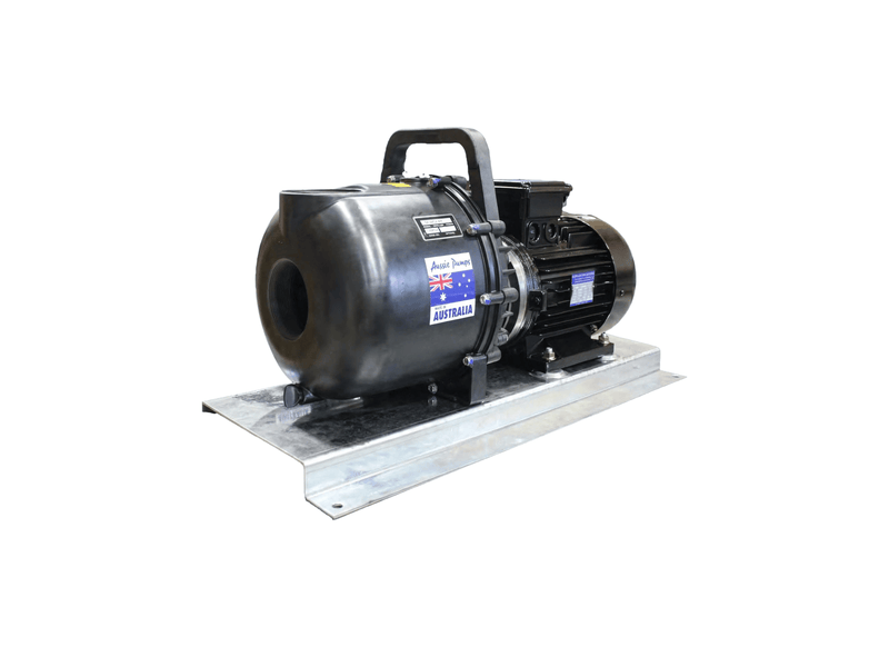 Aussie Pumps RSE2BUB/4/415 Polyester 2" Ports Three Phase High-Head Chemical Transfer Pump with Protek Motor