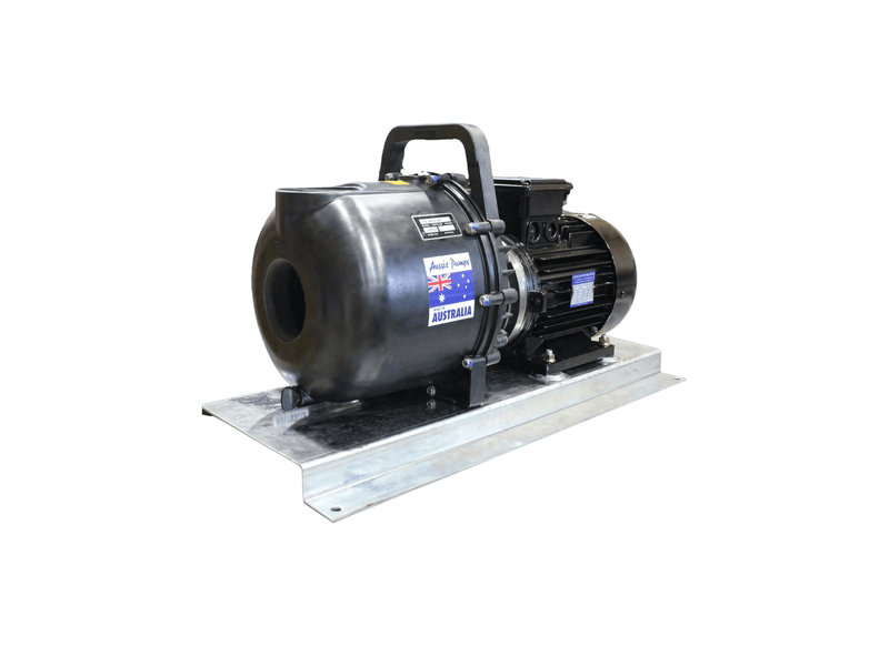 Aussie Pumps RSE2BUL/4/415 Polyester 2" Ports Three Phase High-Head Chemical Transfer Pump with Protek Motor