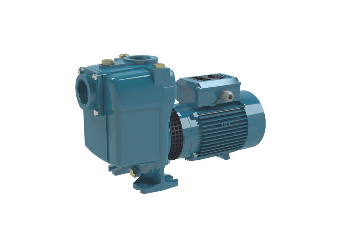 Calpeda A 65-150A cast iron close-coupled centrifugal pump with open impeller for irrigation distribution.