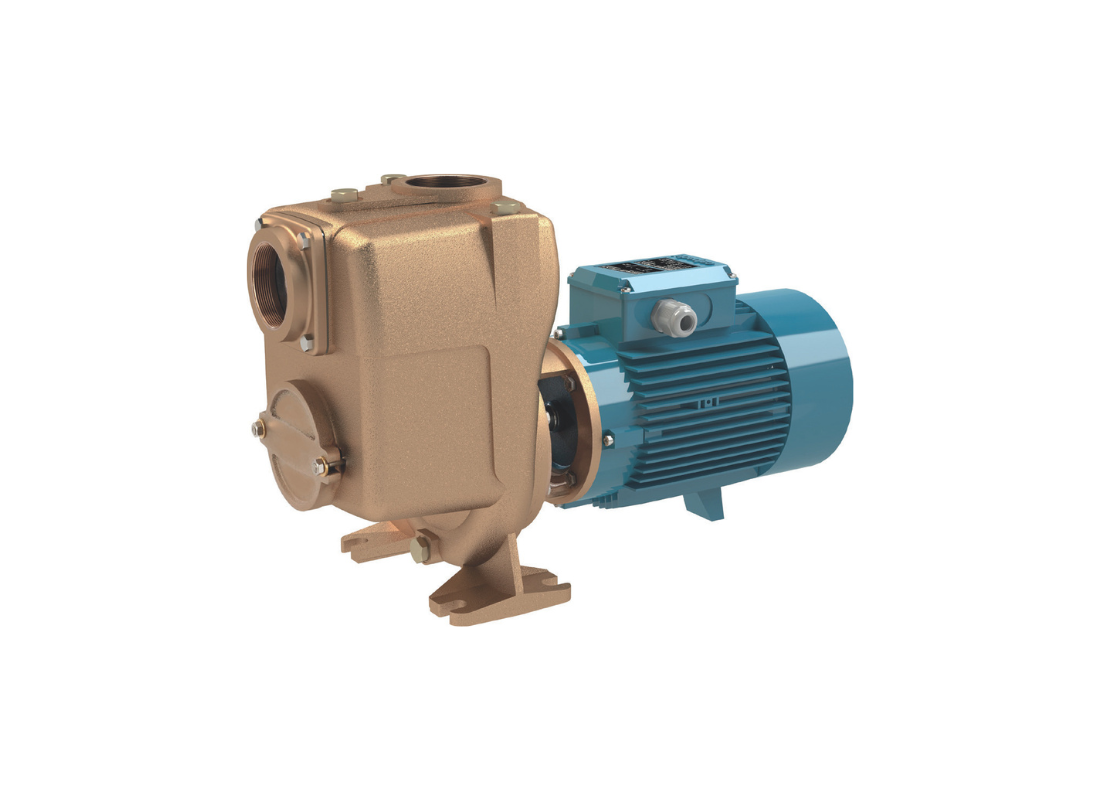 Calpeda B-A 65-150A bronze close-coupled centrifugal pump for irrigation with open impeller, showing pump body and open impeller.