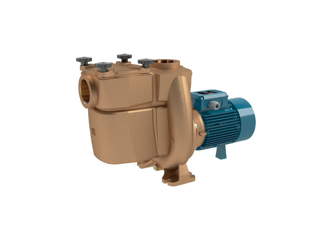 Calpeda B-NMPM 32/12F bronze automatic priming centrifugal pool pump with brass impeller for water circulation.