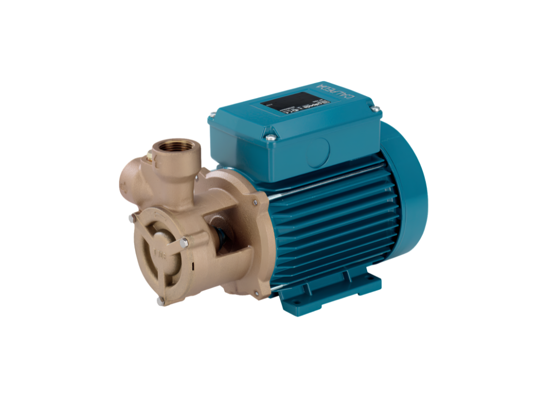 Calpeda B-TP 80 bronze high-head peripheral pump with brass impeller for marine pressure systems, shown with pump components.
