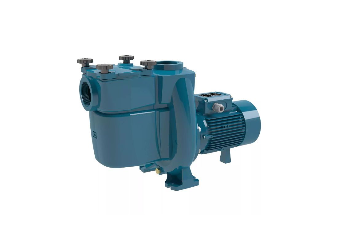 Calpeda NMP 65/12E cast iron self-priming centrifugal pool pump with brass impeller for large pool circulation.