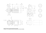 Grundfos NB 40-125/130 Cast Iron 0.37 kW End Suction Centrifugal Pump with Closed Impeller