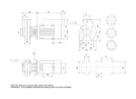 Grundfos NB 40-315/336 Cast Iron 45 kW End Suction Centrifugal Pump with Closed Impeller