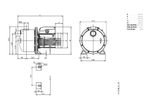 Lowara BGM7 Stainless Steel Reliable Self-Priming Centrifugal Pump for Rainwater with Technopolymer Diffuser