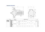 Pedrollo F32/200AB Cast Iron Close-Coupled Centrifugal Pump for Pressure Boosting with Brass Impeller