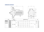 Pedrollo F40/125C Cast Iron Centrifugal Pump for Cooling Systems with Brass Impeller