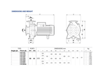 Pedrollo F65/200AR Cast Iron Centrifugal Pump for Heavy Liquid Transfer with Closed Impeller