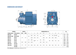 Pedrollo PKm65 Cast Iron Close Coupled Peripheral Pump for Garden Irrigation with Brass Impeller